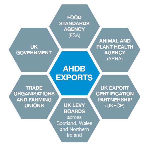 Graphic explaining AHDB's links to other agencies